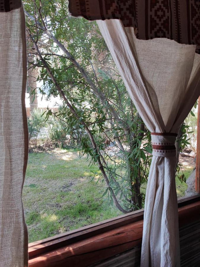 Ensueno Del Alma Villa Villa Pehuenia Kültér fotó